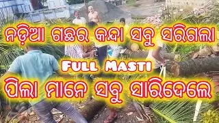 ନଡ଼ିଆ ଗଛର କନ୍ଦା ସବୁ ସରିଗଲା। ପିଲା ମାନେ ସବୁ ସାରିଦେଲେ ଜୟ ମା କନକ ଦୁର୍ଗା@Sankara_2.0 #subscribe #like #43