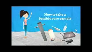 How to take a benthic core sample