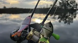 Best Catches of 2025 - Glidebaits, Swimbaits, Finesse, and Conventional Fishing