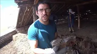 Living with Mongolian Nomads: Spring Cleaning