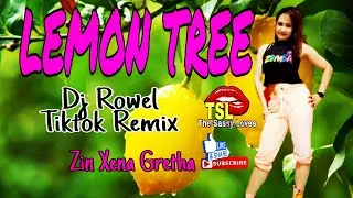 LEMON TREE / DJ ROWEL / TIKTOK REMIX / DANCE FITNESS WORKOUT / The Sassy Loves TSL
