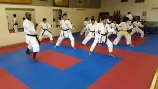 Kawashi Waza Shifting off the line of attack Corpus Christi Downtown Karate CCDK