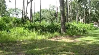 Dade Battlefield Historic State Park