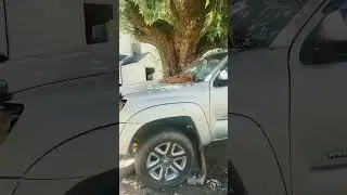 &uacute;ltimos retokes al mamalon