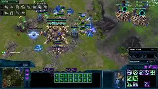GM Protoss Carrier Enjoyer, Enjoys Carriers