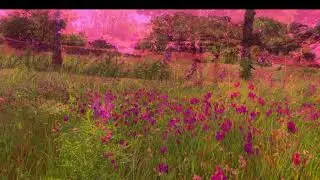 Mary (Reverb + slowed) - Bright Young Things