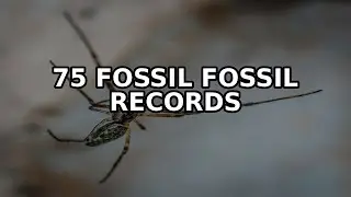 Fossil records reveal that 75% of species that once thrived