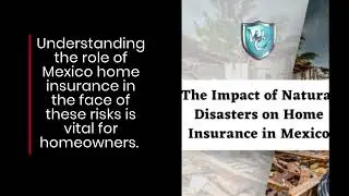 The Impact of Natural Disasters on Home Insurance in Mexico