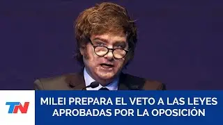 Milei quiere blindar al veto de las leyes aprobadas que beneficiaron a jubilados y discapacitados