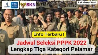 Jadwal Seleksi PPPK 2022, Lengkap dengan Tiga Kategori Pelamar