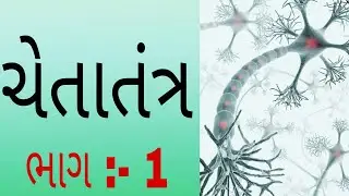 cheta tantra (ચેતાતંત્ર) - GPSC DYSO PI PSI BINSACHIVALAY TALATI