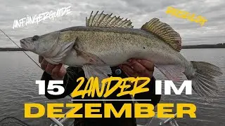 🎣 ALLES eskaliert! Zander ohne Ende, Hecht PB & gefährliches Catch & Cook im Winter 😱🍄