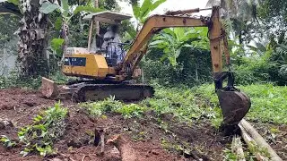 Clearing Land With Excavator