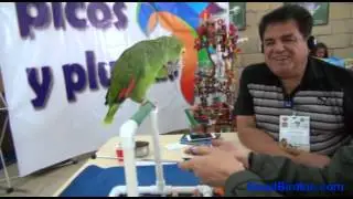 Parrot Training Workshop with Barbara Heidenreich in Puebla, Mexico