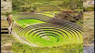 UTKU PANKILLAY - Nelly Munguia - Folklore Andino Peruano (Quechua- Ayacuchano)