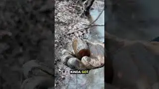 Небольшие находки, большой характер | Стекло 1920-х&ndash;1950-х годов