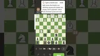 100 accuracy ANTI FRIED LIVER ATTACK 😱😱 #chess #checkmate #foryou #chesstricks #fypシ゚viral #shorts