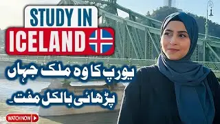 100% FREE Study in ICELAND Europe | Complete Guideline | Scholarships in ICELAND | Universities Page