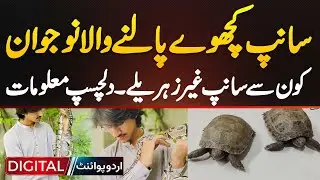 A Pakistani's Collection of Snakes & Turtles - Which Snake Are Non-Venomous? Interesting Information