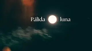 P&aacute;lida Luna - Jos&eacute; y el Toro (Lyric video)
