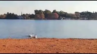 Florida lake Johannesburg South Africa  Driving Around 2020