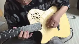 Godin Nylon SA - made in canada
