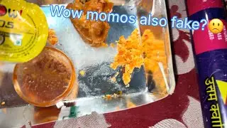 Testing paneer of Gr Noida street food😍  | Wow momos also fake ? ⚜️❤️