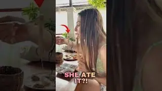 She Ate THIS in the Philippines 😱 #exoticfood #philippines #shorts
