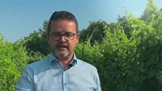 Per una corretta nutrizione della vite