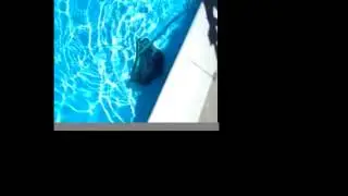 Weekly Pool Service