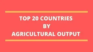 TOP 20 COUNTRIES BY AGRICULTURAL  OUTPUT