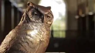 OU Law Order of the Owl 2013 feature