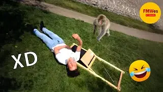 SI TE RÍES PIERDES NIVEL DIOS 