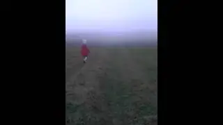 Unexplained Fog Surrounds Puppy