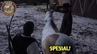 KUDA KHUSUS UCOK???? WHATTTTT??!! #51 #MOTIONCOUNTRY #imeroleplay  - RDR2ROLEPLAY