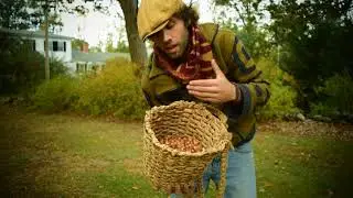 Acorn Abundant Wild Edible Flour  A replacement for Wheat! Harvesting and Prep Part 1