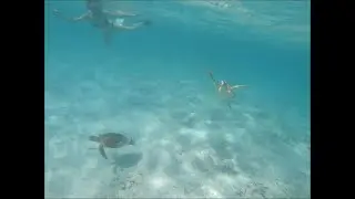 Snorkeling Adventures Yucatan