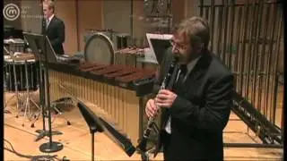 BRUNO MANTOVANI Concerto de Chambre nº1
