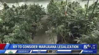 Kentucky lawmaker proposes legalizing recreational cannabis