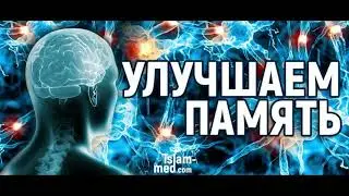 Колурацетам, Coluracetam, MKC-231, BCI-540