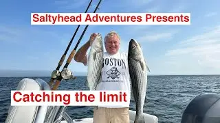 Catching the Limit with Saltyhead