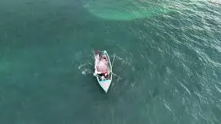 Drone Video of Sea Castle Beach Montego Bay Jamaica