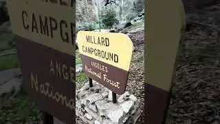 Millard falls trail after the Eaton fire 1-8-25 now open 1-13-26 #nature #burnscar #losangeles 