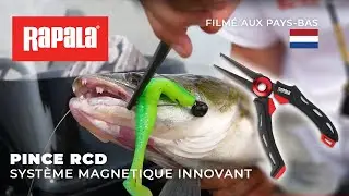 Pince Magn&eacute;tique RCD : Syst&egrave;me magn&eacute;tique innovant