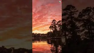 Sleep Meditation Music 💤 Night Relaxation for Deep & Healing Sleep #shorts