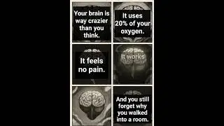 &ldquo;Your brain is way crazier than you think.&rdquo;#facts #body #brain #creepy