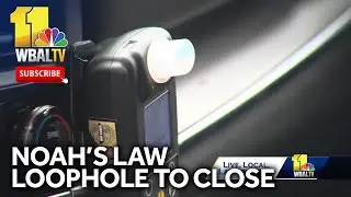 Noah's Law loophole closes Oct. 1