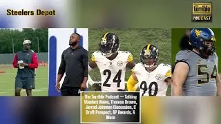 The Terrible Podcast &mdash; Talking Steelers News, Thomas Brown, Jerrod Johnson Discussion, AP Awards