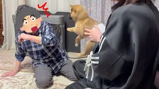 【初対面】内緒で飼った子犬を連れてばあちゃん家に遊びに行った結果