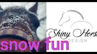 Snow fun Netherlands|| TeamSHD |Nicky